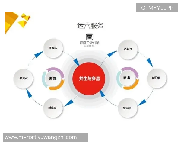 2026年3月份新闻成都篮球队配合分析战术执行与团队默契的深度对比探讨
